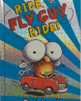 G.S  Fly Guy RIDE