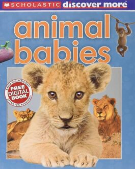 G.S Animal Babies.