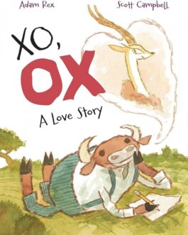 G.S XO, OX A LOVE STORY